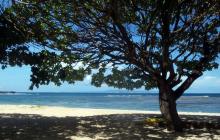 Пляжи Нуса Дуа, Бали: отзывы туристов Нуса дуа какое море
